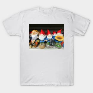 Garden Gnomes T-Shirt
